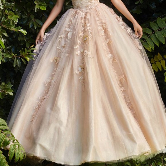 NEW CHUMPAGNE DRESS SWEETHEART NECKLINE LAYERED TULLE BALL GOWN PROM DRESSCD0185 - Picture 3 of 7